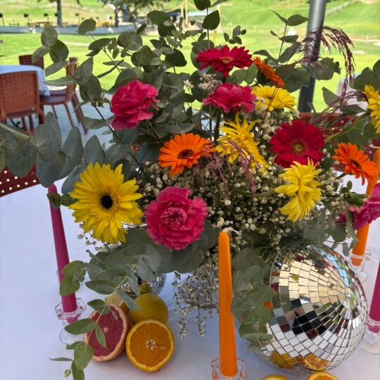 https://melodiesevent.com/wp-content/uploads/2026/07/IMG_6735-540x540.jpeg